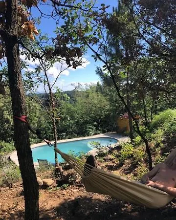 Chez Simone, Piscine Et Climatisation *